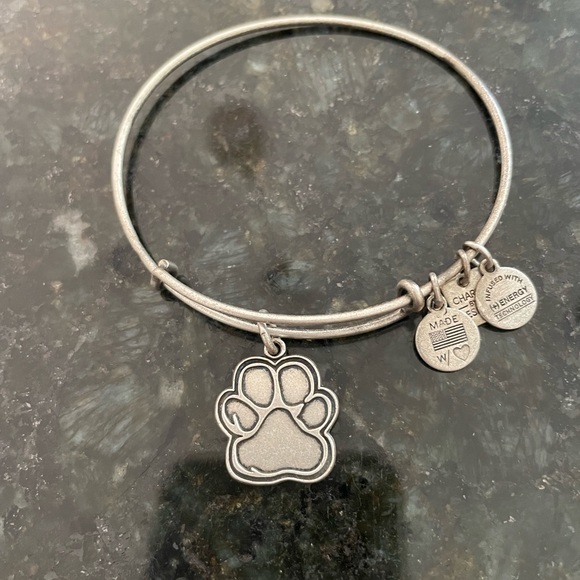 Alex and Ani - Picture 1 of 2